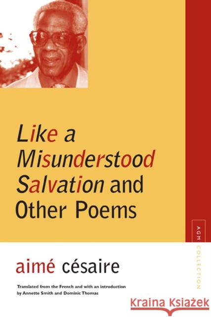 Like a Misunderstood Salvation and Other Poems