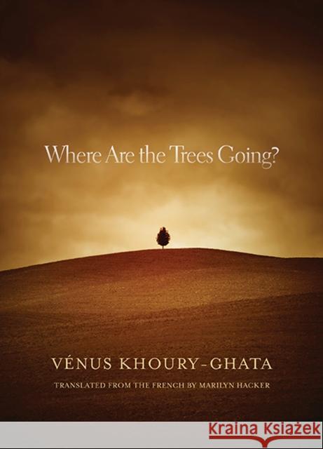 Where Are the Trees Going?