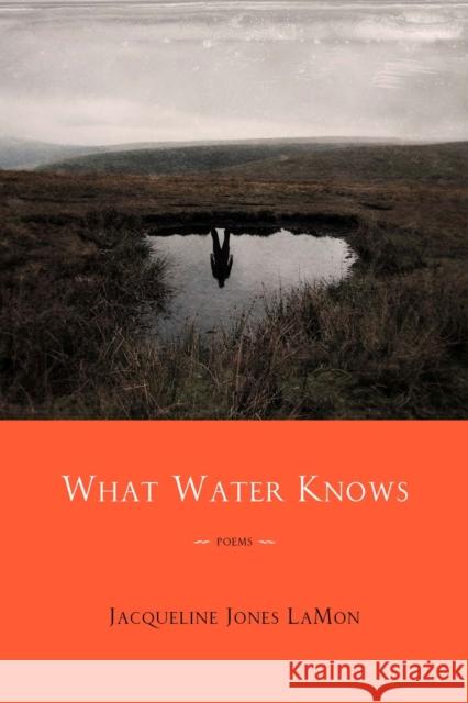 What Water Knows: Poems