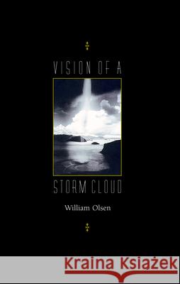 Vision of a Storm Cloud