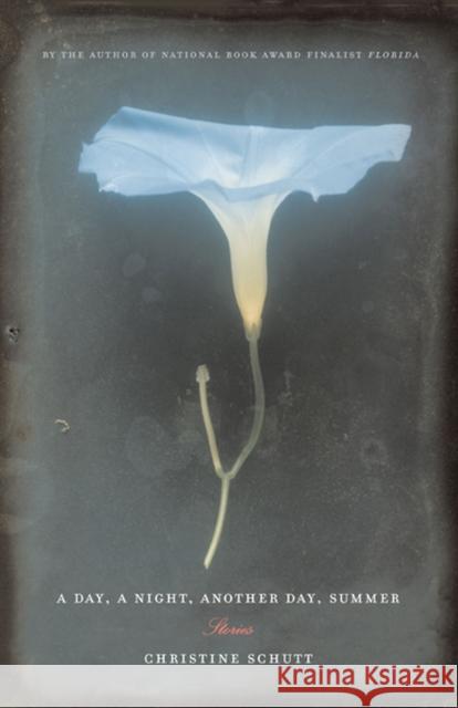 A Day, a Night, Another Day, Summer: Stories