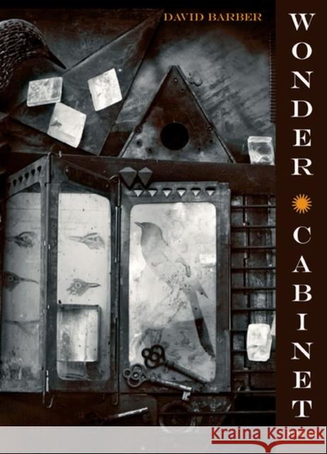 Wonder Cabinet: Poems