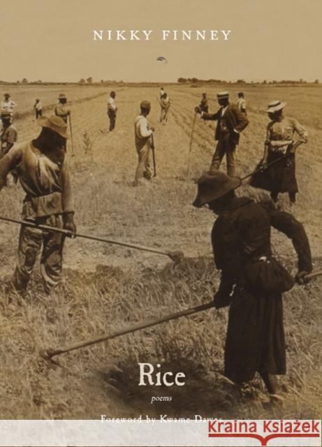 Rice