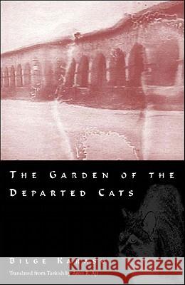 The Garden of the Departed Cats
