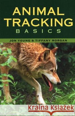 Animal Tracking Basics