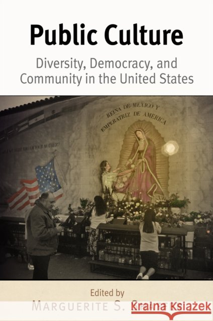 Public Culture: Diversity, Democracy, and Community in the United States