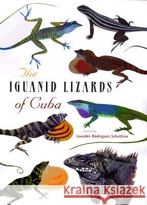 The Iguanid Lizards of Cuba