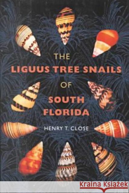 Liguus Tree Snails of South Florida