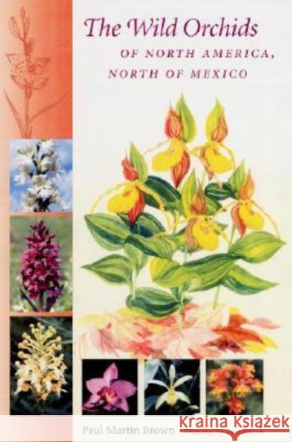 The Wild Orchids of North America, North of Mexico