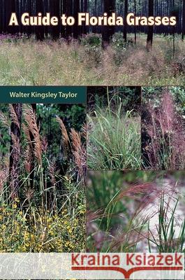 A Guide to Florida Grasses