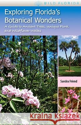 Exploring Florida'S Botanical Wonders
