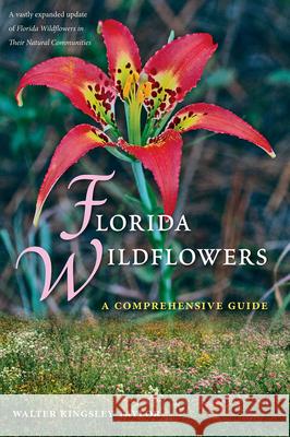 Florida Wildflowers: A Comprehensive Guide