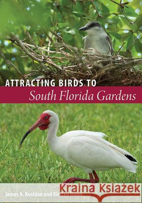 Attracting Birds to South Florida Gardens