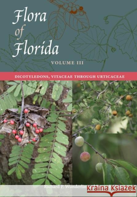 Flora of Florida, Volume III: Dicotyledons, Vitaceae Through Urticaceae