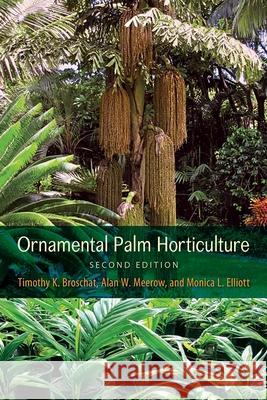 Ornamental Palm Horticulture