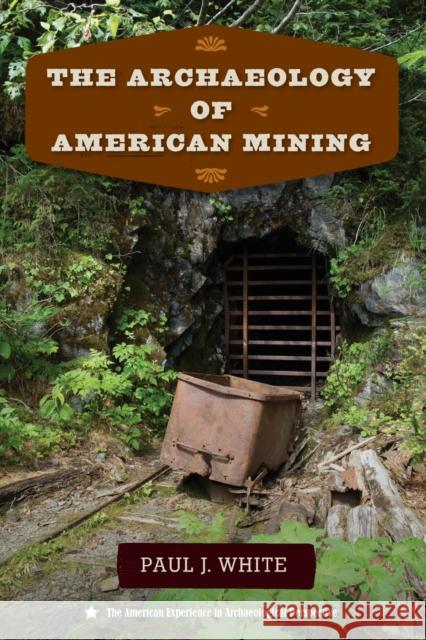 The Archaeology of American Mining