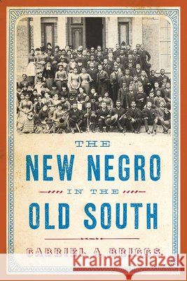 The New Negro in the Old South