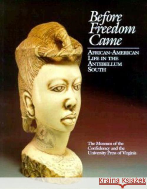 Before Freedom Came: African-American Life in the Antebellum South