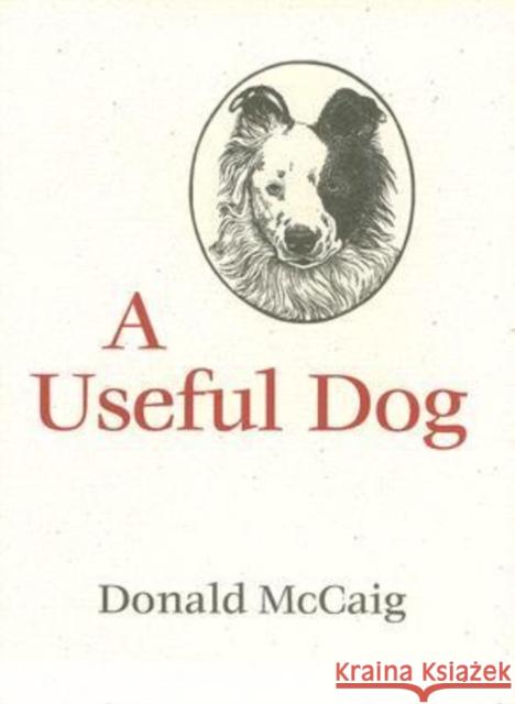 A Useful Dog