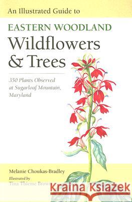 An Illustrated Guide to Eastern Woodland Wildflowers and Trees: 350 Plants Observed at Sugarloaf Mountain, Maryland