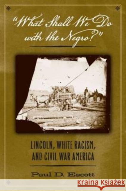 What Shall We Do with the Negro?: Lincoln, White Racism, and Civil War America
