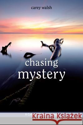 Chasing Mystery: A Catholic Biblical Theology