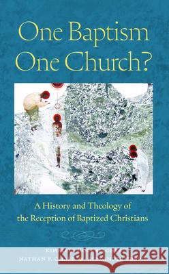 One Baptism--One Church?: A History and Theology of the Reception of Baptized Christians