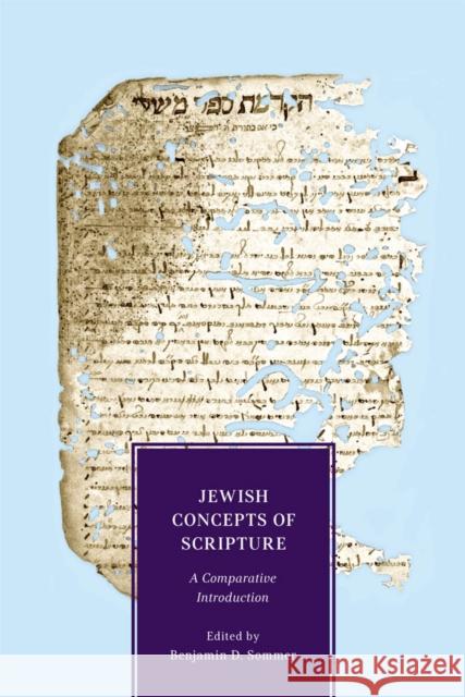 Jewish Concepts of Scripture: A Comparative Introduction