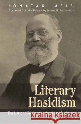 Literary Hasidism: The Life and Works of Michael Levi Rodkinson