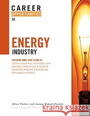 Career Opportunities in the Energy Industry
