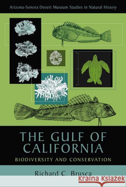 The Gulf of California: Biodiversity and Conservation