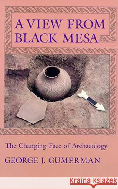 A View from Black Mesa: The Changing Face of Archaeology