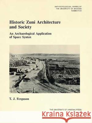 Historic Zuni Architecture and Society: An Archaeological Application of Space Syntax Volume 60