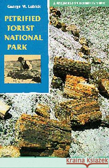 Petrified Forest National Park: A Wilderness Bound in Time