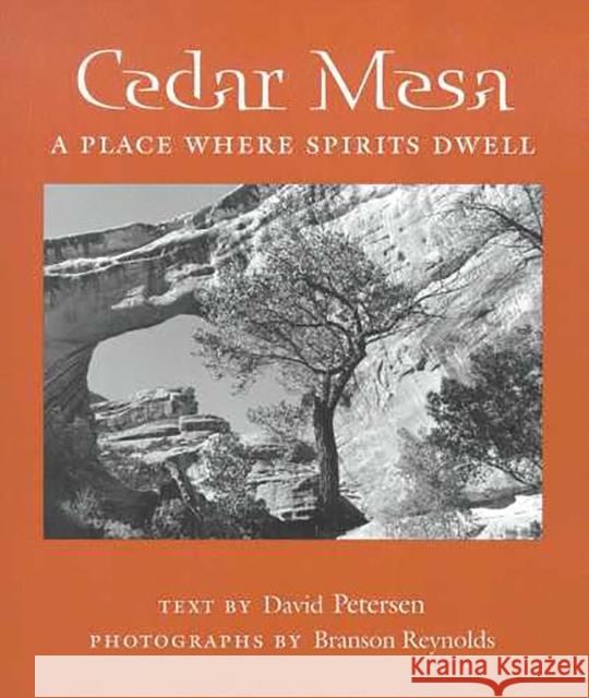 Cedar Mesa: A Place Where Spirits Dwell