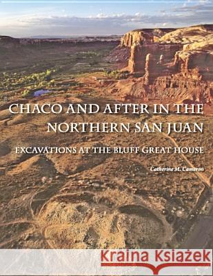 Chaco and After in the Northern San Juan : Excavations at the Bluff Great House