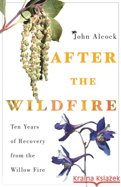 After the Wildfire: Ten Years of Recovery from the Willow Fire