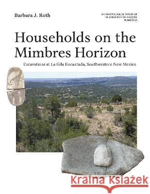 Households on the Mimbres Horizon: Excavations at La Gila Encantada, Southwestern New Mexico Volume 82