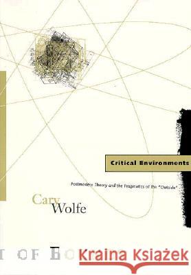 Critical Environments: Postmodern Theory and the Pragmatics of the 