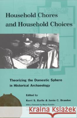 Household Chores and Household Choices : Theorizing the Domestic Sphere in Historical Archaeology