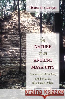 The Nature of an Ancient Maya City: Resources, Interaction, and Power at Blue Creek, Belize