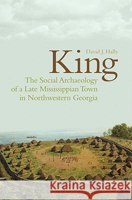 King : The Social Archaeology of a Late Mississippian Town in Northwestern Georgia