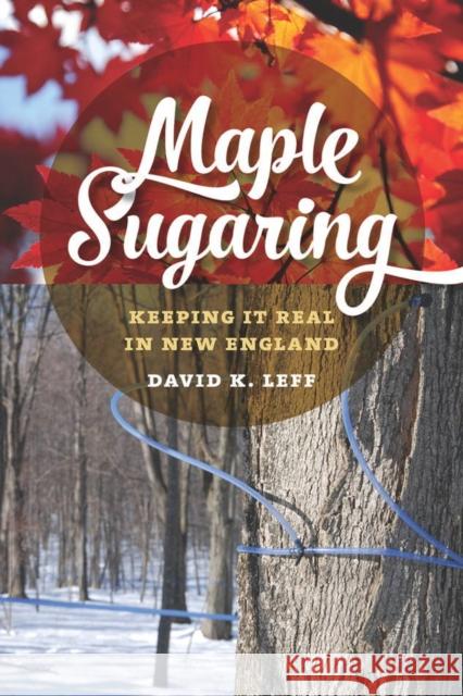 Maple Sugaring: Keeping It Real in New England