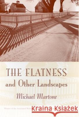 The Flatness and Other Landscapes