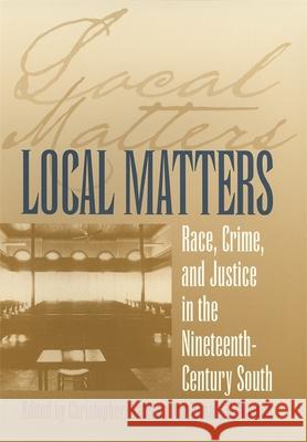 Local Matters: Race, Crime, and Justice in the Nineteenth-Century South