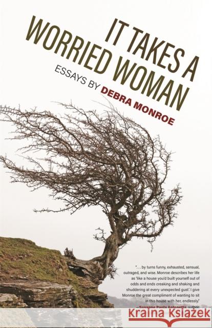 It Takes a Worried Woman: Essays