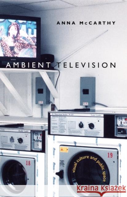 Ambient Television: Visual Culture and Public Space
