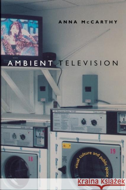 Ambient Television: Visual Culture and Public Space