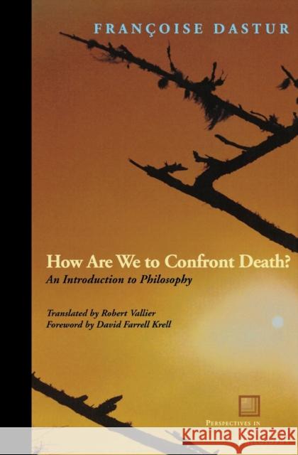 How Are We to Confront Death?: An Introduction to Philosophy