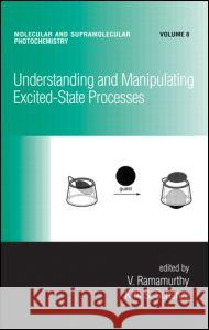 Understanding and Manipulating Excited-State Processes